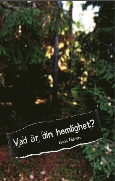 Vad �r din hemlighet? (inbunden)