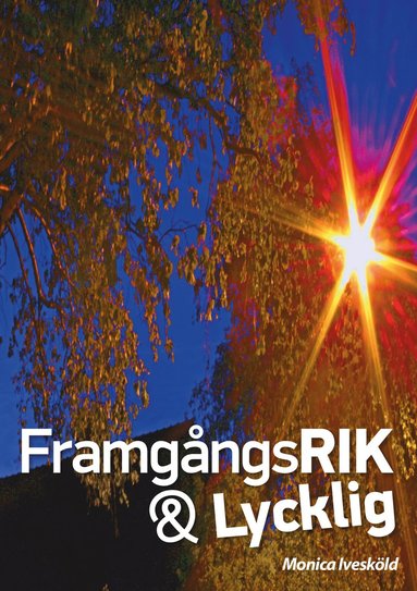 Framgngsrik & lycklig (hftad)