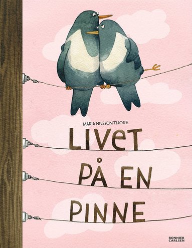 Livet på en pinne (häftad)