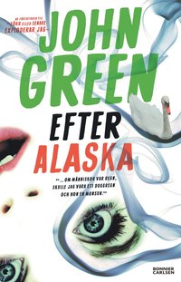 Efter Alaska (e-bok)