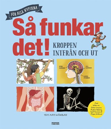 Så funkar det! - Kroppen inifrån och ut (kartonnage)