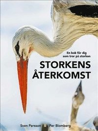 Storkens återkomst : en bok för dig som tror på storken (inbunden)