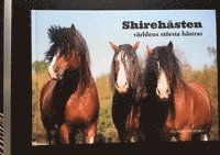 Shirehästen : världens största hästras (inbunden)