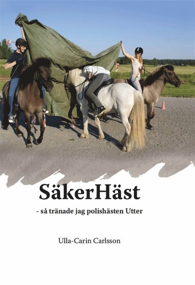 S�kerH�st : s� tr�nade jag polish�sten Utter (inbunden)