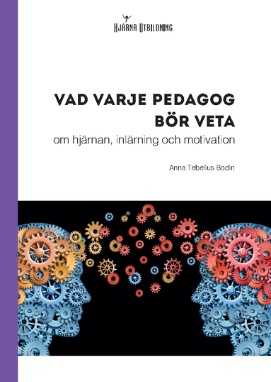 Vad varje pedagog bör veta - om hjärnan, inlärning och motivation (häftad)