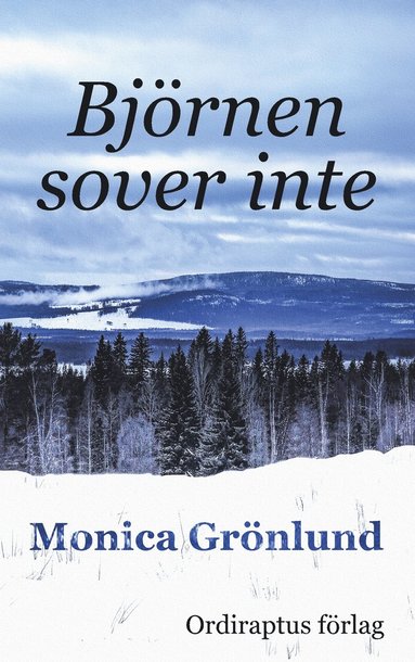 Björnen sover inte : Björnen sover inte (pocket)