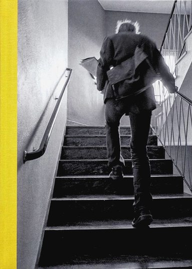 Trappsniglar : en bok om brevbrare (pocket)