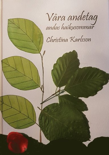 Vra andetag andas haikusommar (pocket)