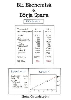 Bli ekonomisk & brja spara (kartonnage)