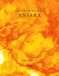 Lägesrapport från Aniara : tre essäer (inbunden)