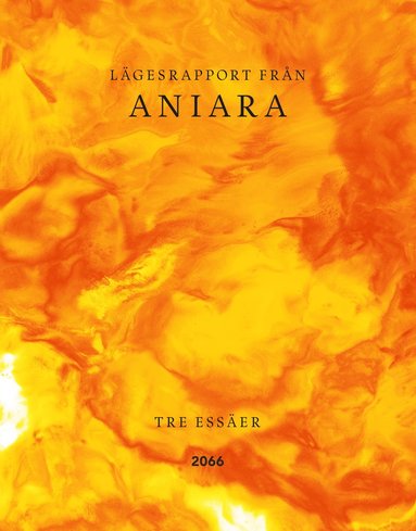Lgesrapport frn Aniara : tre esser (inbunden)