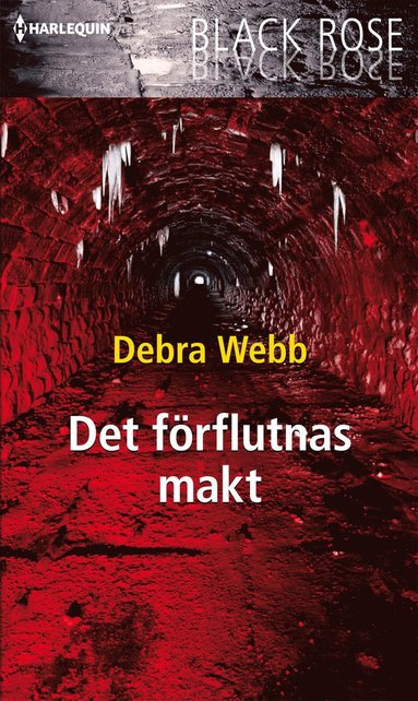 Det f�rflutnas makt (pocket)