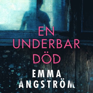 En underbar dd (ljudbok)
