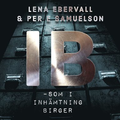 IB - som i inhämtning Birger (e-bok)