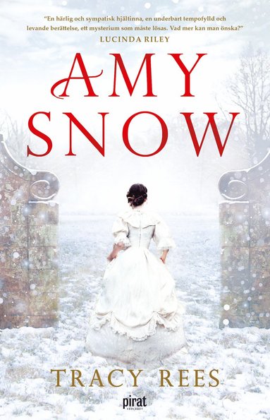 Amy Snow (ljudbok)
