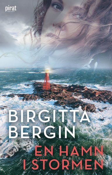 En hamn i stormen (e-bok)