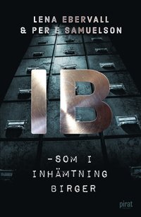 IB - som i inhämtning Birger (e-bok)