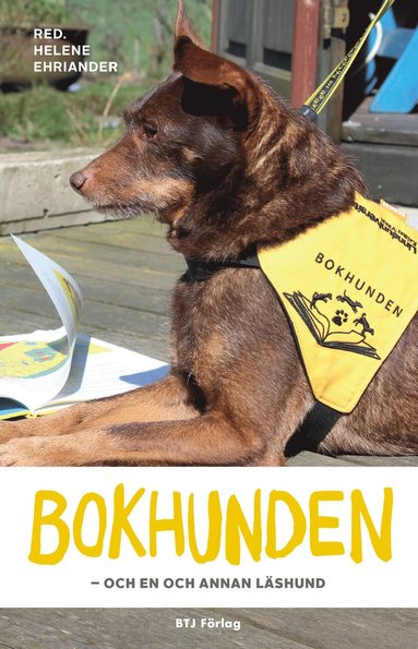 Bokhunden : och en och annan lshund (pocket)