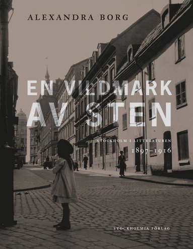 En vildmark av sten : Stockholm i litteraturen 1897-1916 (pocket)