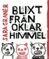 Blixt fr�n oklar himmel