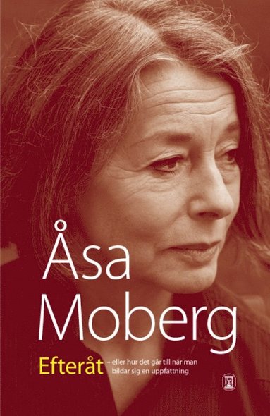 Efteråt : eller hur det går till när man bildar sig en uppfattning (häftad)