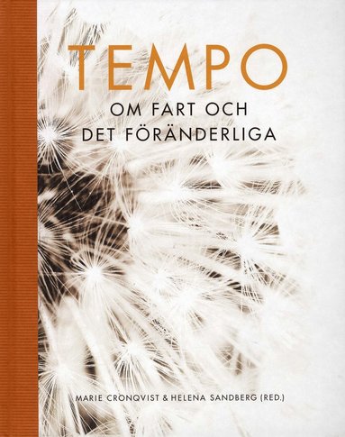 Tempo : om fart och det frnderliga (inbunden)