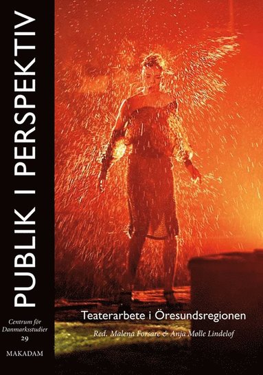 Publik i perspektiv : teaterarbete i resundsregionen (inbunden)