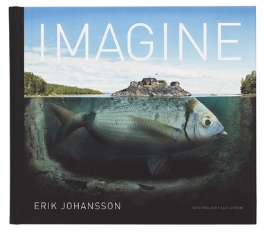 Imagine - Erik Johansson, Erik Segeholm - Bok (9789171263704
