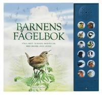 Barnens fågelbok : våra mest älskade småfåglar med bilder och läten (kartonnage)