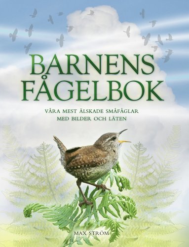 Barnens fgelbok : vra mest lskade smfglar med bilder och lten (inbunden)