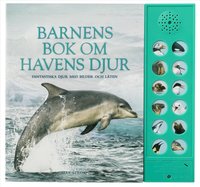 Omslag: Barnens bok om havens djur : fantastiska djur med bilder och läten