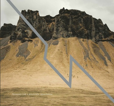 Thinking like a mountain (kartonnage)