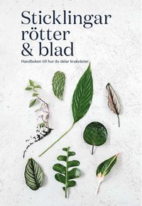 Sticklingar, rötter & blad : handbok för att dela krukväxter (inbunden)