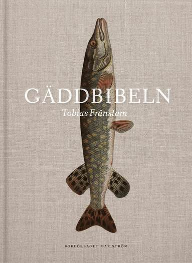 G�ddbibeln (pocket)