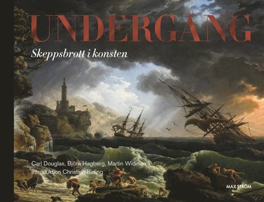 Undergng : skeppsbrott i konsten (inbunden)