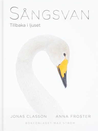 Sngsvan : Tillbaka i ljuset (hftad)