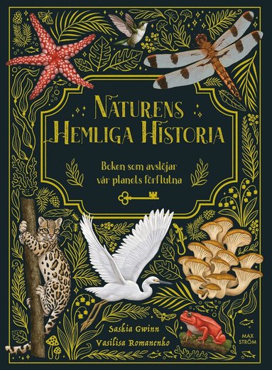 Naturens hemliga historia : Boken som avsljar vr planets frflutna (inbunden)