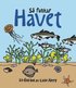 S funkar havet