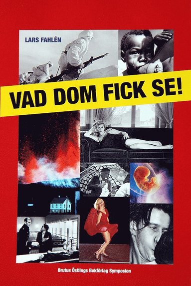 Vad dom fick se! (inbunden)