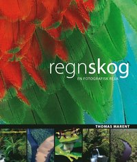 Regnskog : [en fotografisk resa] (inbunden)