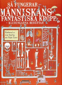 Omslag för Så fungerar människans fantastiska kropp : kluringarna berättar