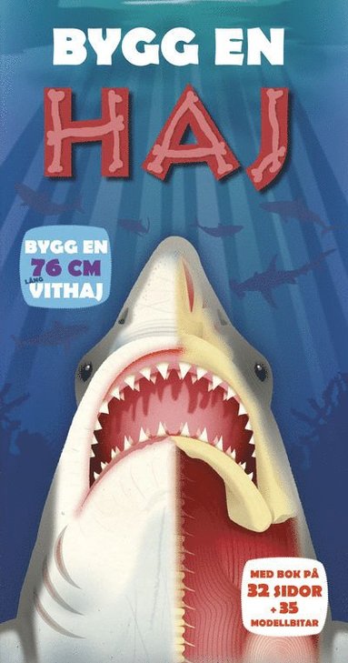 Bygg en haj (inbunden)