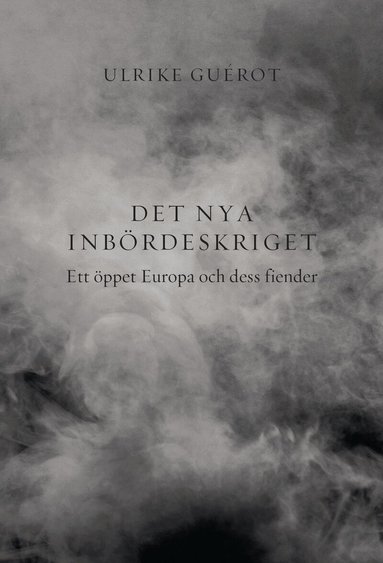 Det nya inb�rdeskriget : ett �ppet Europa och dess fiender (h�ftad)