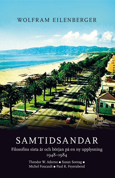 Samtidsandar : filosofins sista �r och b�rjan p� en ny upplysning 1948-1984 - Theodor W. Adorno, Susan Sontag, Michel Foucault, Paul K. Feyerabend (h�ftad)