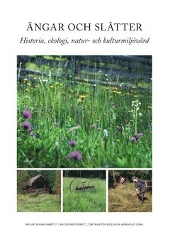 ngar och sltter : historia, ekologi, natur- och kulturmiljvrd (hftad)