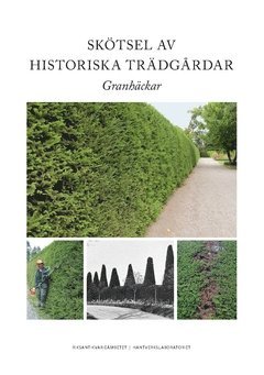 Sktsel av historiska trdgrdar : granhckar (inbunden)