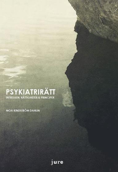 Psykiatrirtt - Intressen, rttigheter & principer (hftad)