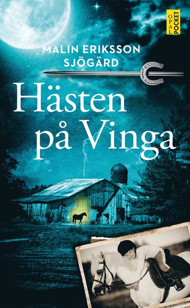 Hsten p Vinga (inbunden)