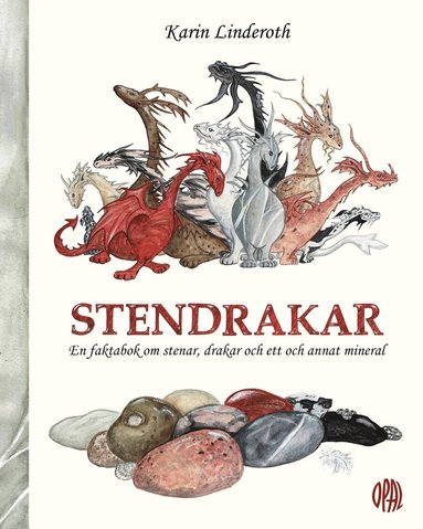 Stendrakar : en faktabok om stenar, drakar och ett och annan mineral (inbunden)