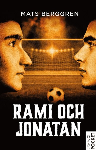 Rami och Jonatan (inbunden)